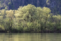 An der Traum in Ebensee