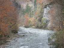 Herbst am Fluss